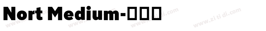Nort Medium字体转换